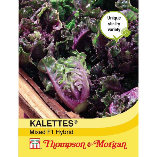 THOMPSON & MORGAN - KALETTES GARDEN MIX F1 HYBRID SEEDS