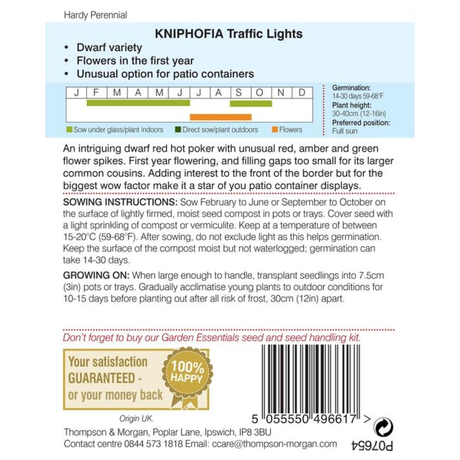 THOMPSON & MORGAN - KNIPHOFIA TRAFFIC LIGHTS - Image 2