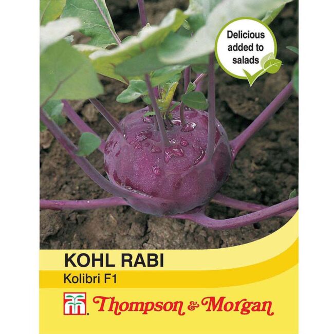 THOMPSON & MORGAN - KOHL RABI KOLIBRI F1 HYBRID SEEDS
