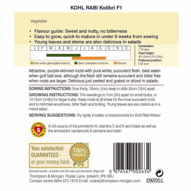 THOMPSON & MORGAN - KOHL RABI KOLIBRI F1 HYBRID SEEDS - Image 2