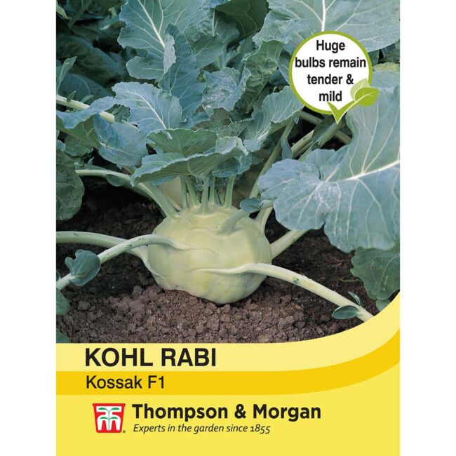 THOMPSON & MORGAN - KOHL RABI KOSSAK