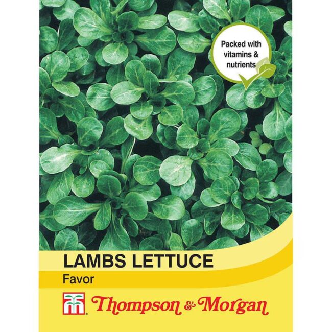 THOMPSON & MORGAN - LAMBS LETTUCE FAVOR SEEDS