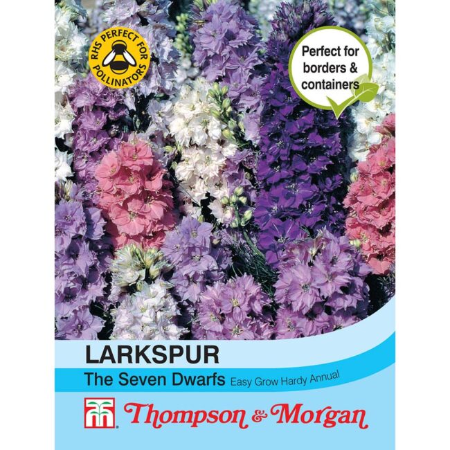THOMPSON & MORGAN - LARKSPUR THE SEVEN DWARFS SEEDS