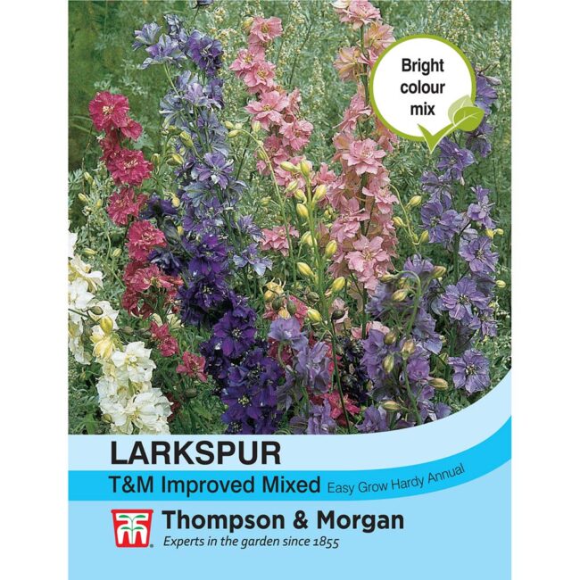 THOMPSON & MORGAN - LARKSPUR T&M IMPROVED MIXED SEEDS