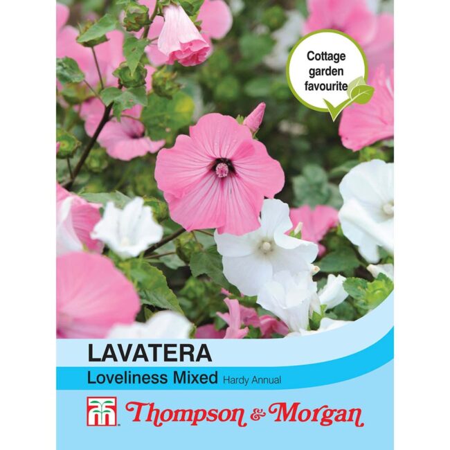 THOMPSON & MORGAN - LAVATERA LOVELINESS MIXED SEEDS