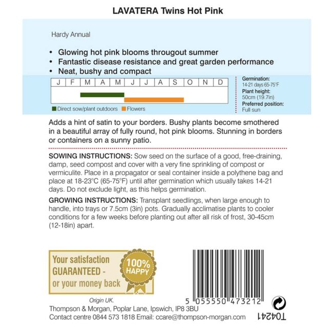 THOMPSON & MORGAN - LAVATERA TWINS HOT PINK SEEDS - Image 2