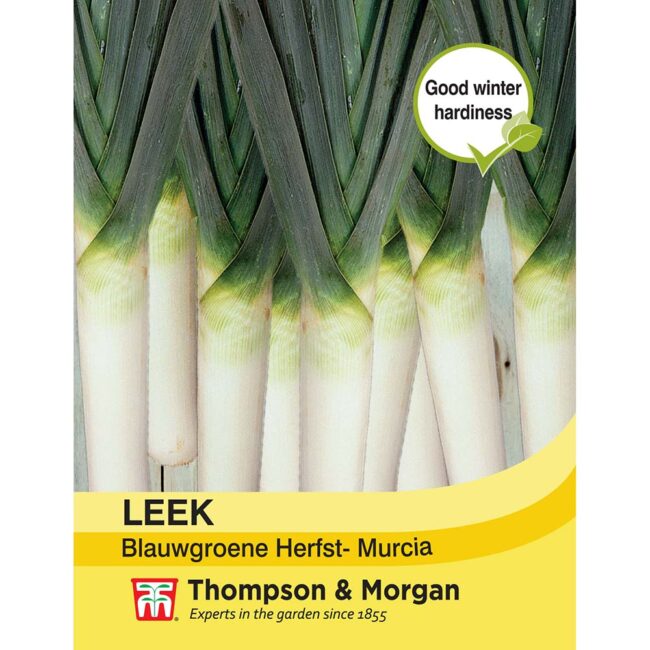 THOMPSON & MORGAN - LEEK BLAUWGROENE HERFST- MURCIA SEEDS