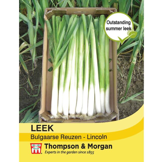 THOMPSON & MORGAN - LEEK BULGAARSE REUZEN - LINCOLN SEEDS