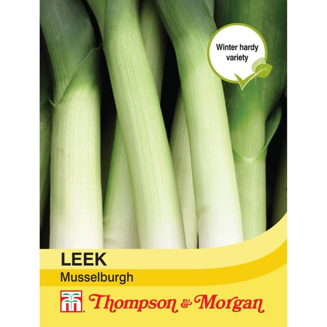 THOMPSON & MORGAN - LEEK MUSSELBURGH SEEDS