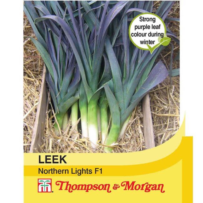 THOMPSON & MORGAN - LEEK NORTHERN LIGHTS F1 HYBRID SEEDS