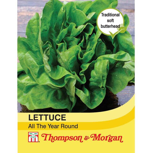 THOMPSON & MORGAN - LETTUCE ALL YEAR ROUND SEEDS