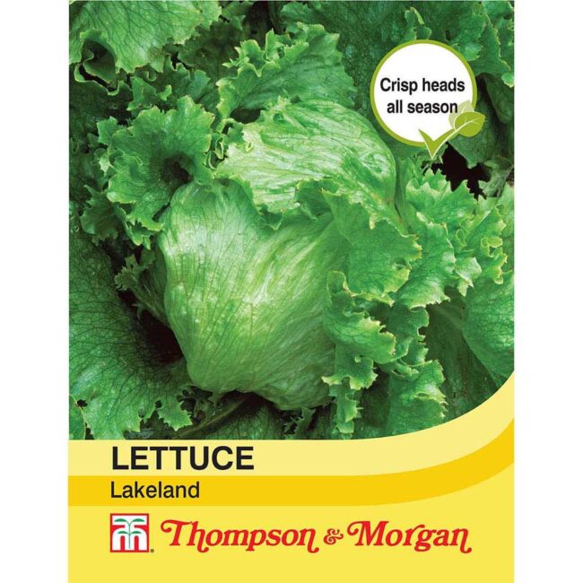 THOMPSON & MORGAN - LETTUCE LAKELAND SEEDS