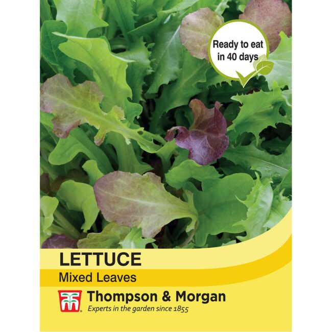 THOMPSON & MORGAN - LETTUCE LEAVES MIXED SEEDS
