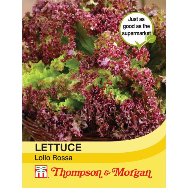 THOMPSON & MORGAN - LETTUCE LOLLO ROSSA SEEDS