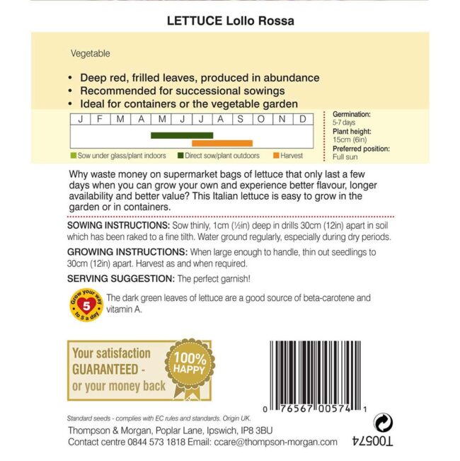THOMPSON & MORGAN - LETTUCE LOLLO ROSSA SEEDS - Image 2