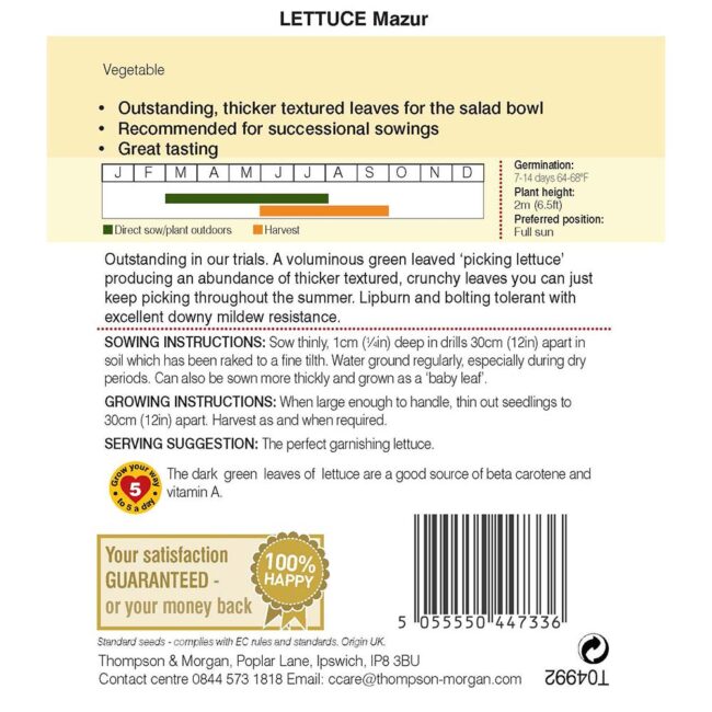 THOMPSON & MORGAN - LETTUCE MAZUR - Image 2