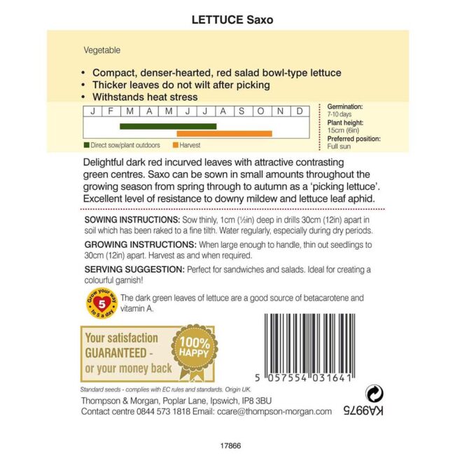 THOMPSON & MORGAN - LETTUCE SAXO SEEDS - Image 2