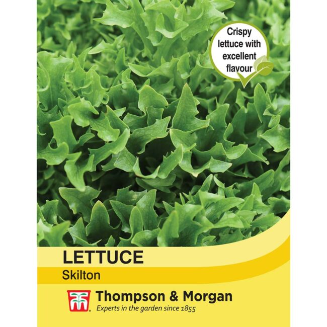THOMPSON & MORGAN - LETTUCE SKILTON SEEDS