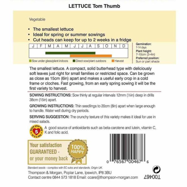 THOMPSON & MORGAN - LETTUCE TOM THUMB SEEDS - Image 2