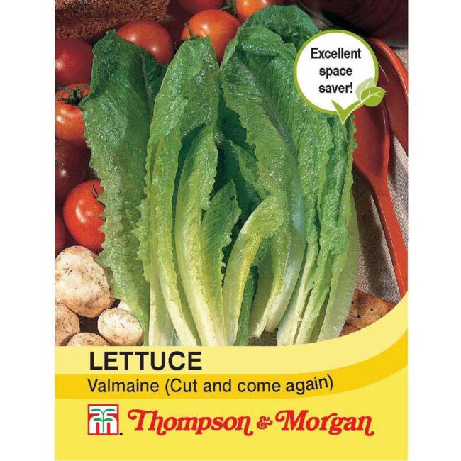 THOMPSON & MORGAN - LETTUCE VALMAINE (CUT AND COME AGAIN) SEEDS