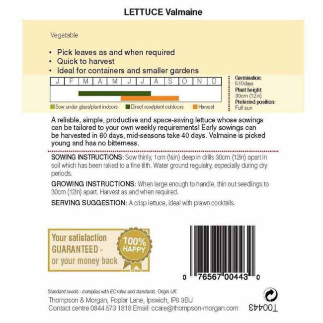 THOMPSON & MORGAN - LETTUCE VALMAINE (CUT AND COME AGAIN) SEEDS - Image 2