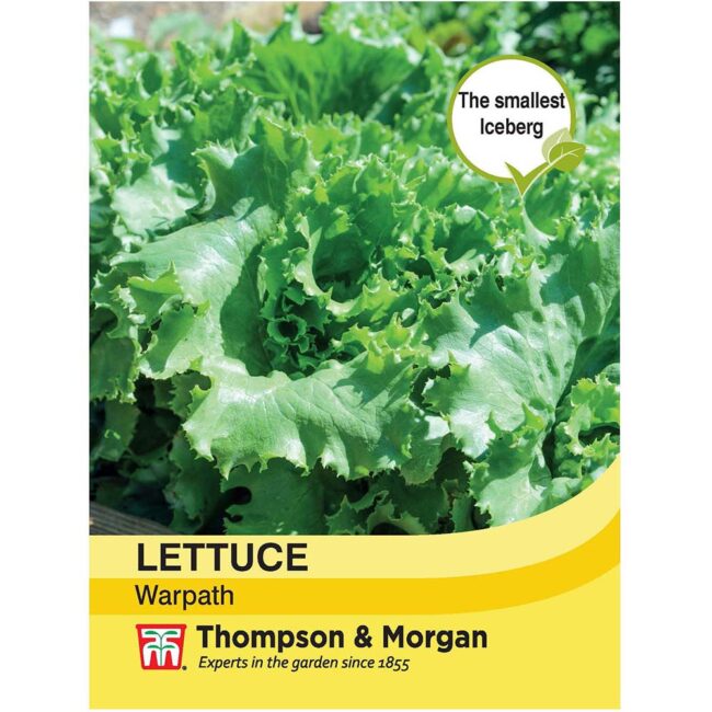 THOMPSON & MORGAN - LETTUCE WARPATH SEEDS