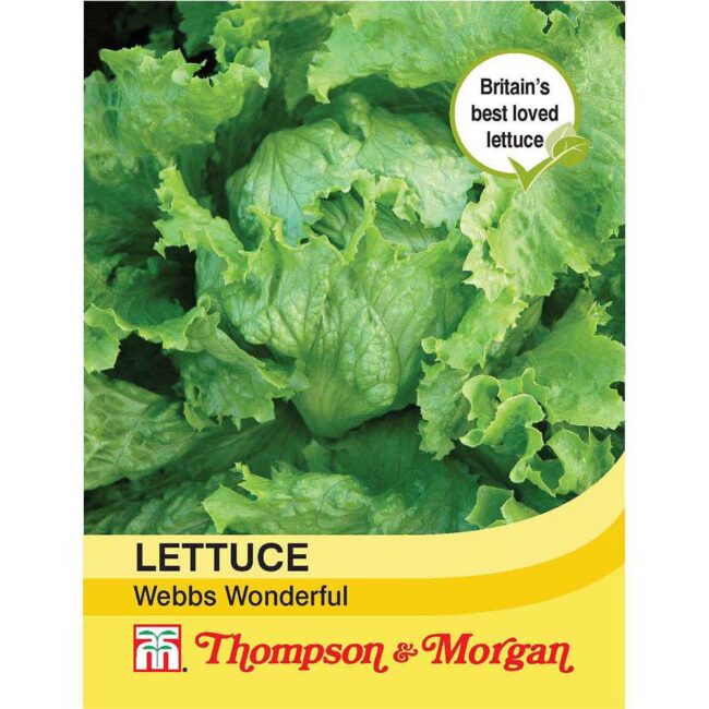 THOMPSON & MORGAN - LETTUCE WEBBS WONDERFUL SEEDS