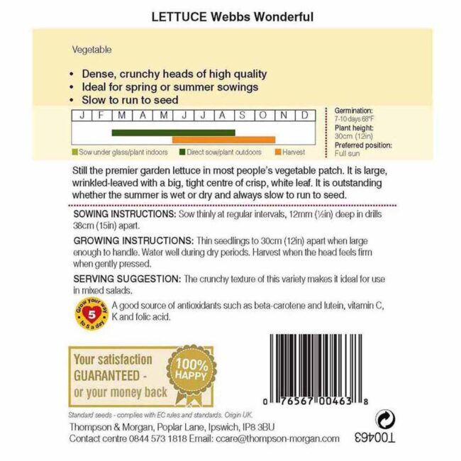 THOMPSON & MORGAN - LETTUCE WEBBS WONDERFUL SEEDS - Image 2