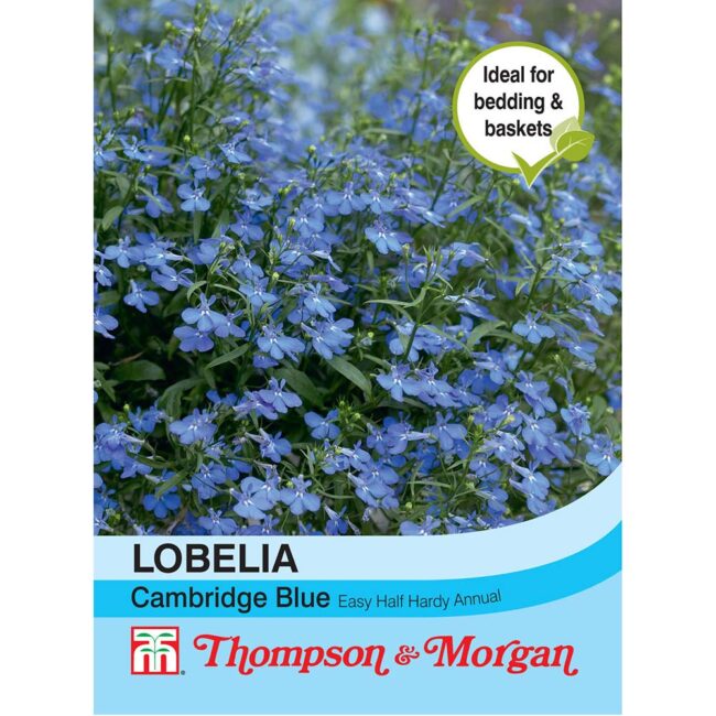 THOMPSON & MORGAN - LOBELIA CAMBRIDGE BLUE SEEDS
