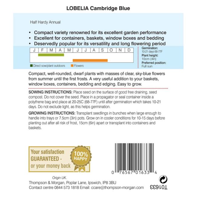 THOMPSON & MORGAN - LOBELIA CAMBRIDGE BLUE SEEDS - Image 2