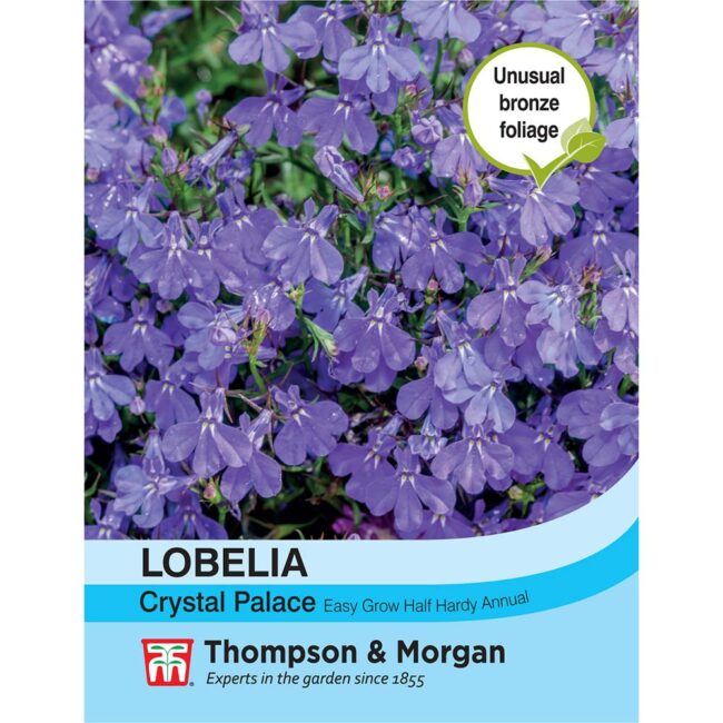 THOMPSON & MORGAN - LOBELIA CRYSTAL PALACE