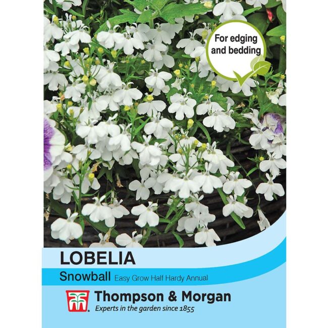 THOMPSON & MORGAN - LOBELIA SNOWBALL SEEDS