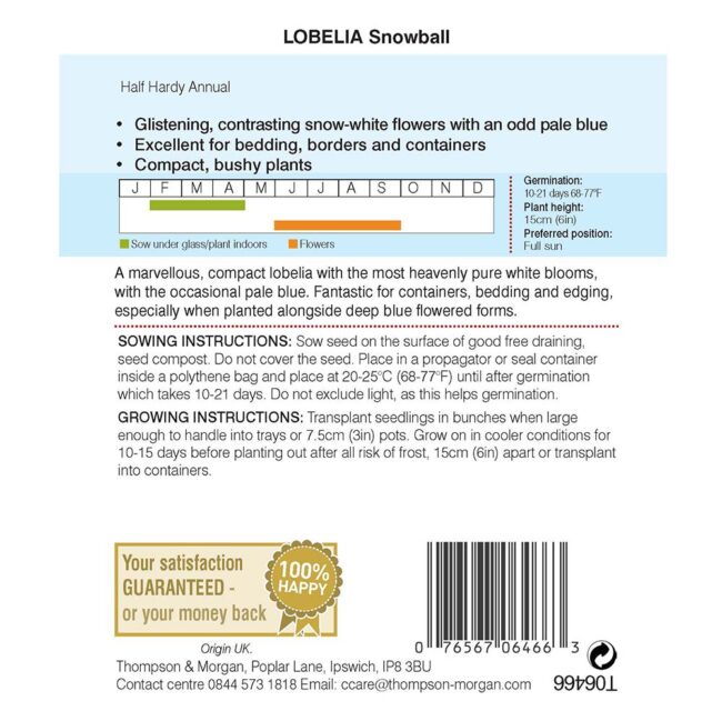 THOMPSON & MORGAN - LOBELIA SNOWBALL SEEDS - Image 2