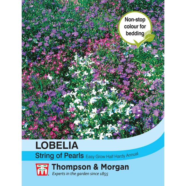 THOMPSON & MORGAN - LOBELIA STRING OF PEARLS MIXED SEEDS