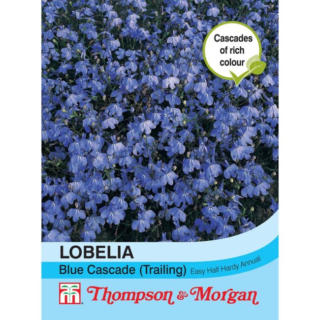 THOMPSON & MORGAN - LOBELIA (TRAILING) BLUE CASCADE SEEDS
