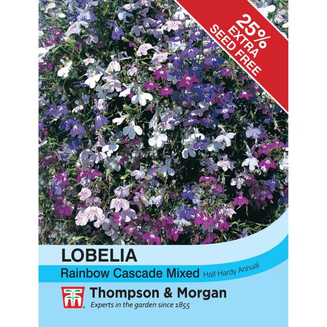 THOMPSON & MORGAN - LOBELIA (TRAILING) RAINBOW CASCADE SEEDS