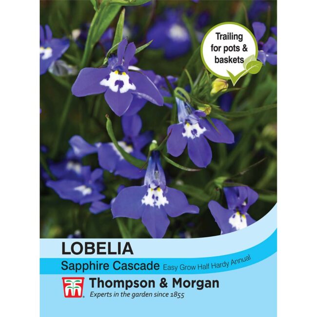THOMPSON & MORGAN - LOBELIA (TRAILING) SAPPHIRE CASCADE SEEDS
