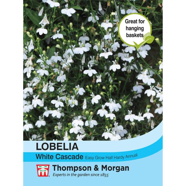 THOMPSON & MORGAN - LOBELIA (TRAILING) WHITE CASCADE SEEDS