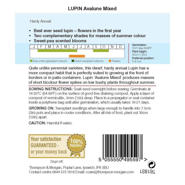 THOMPSON & MORGAN - LUPIN AVALUNE MIXED SEEDS - Image 2