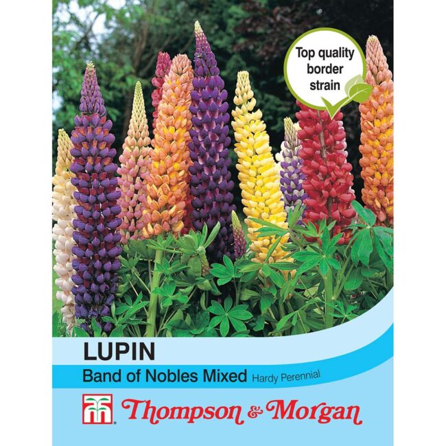 THOMPSON & MORGAN - LUPIN BAND OF NOBLES MIXED SEEDS