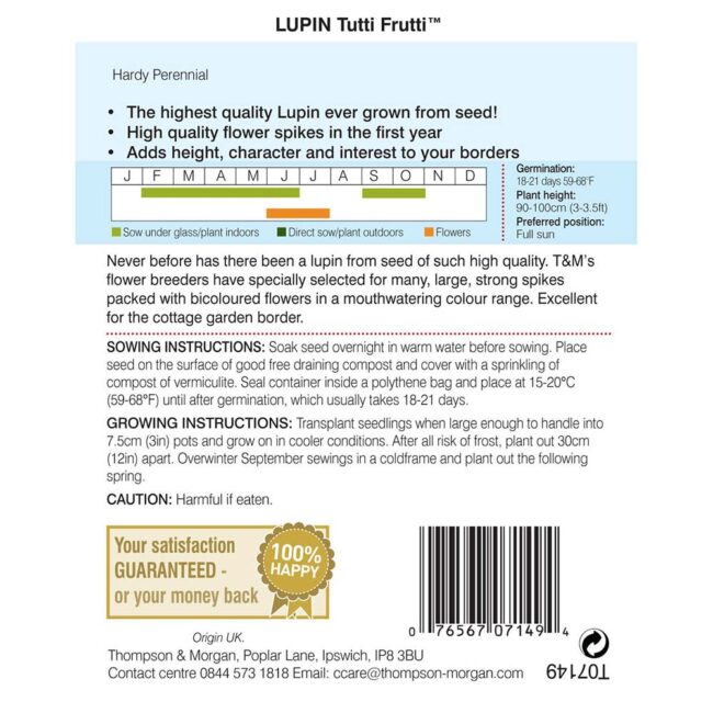THOMPSON & MORGAN - LUPIN TUTTI FRUTTI SEEDS - Image 2