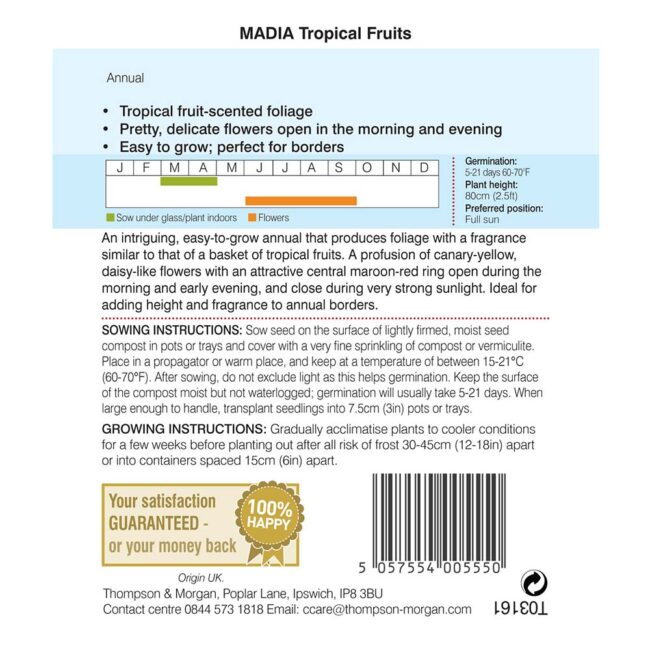 THOMPSON & MORGAN - MADIA ELEGANS TROPICAL FRUITS SEEDS - Image 2