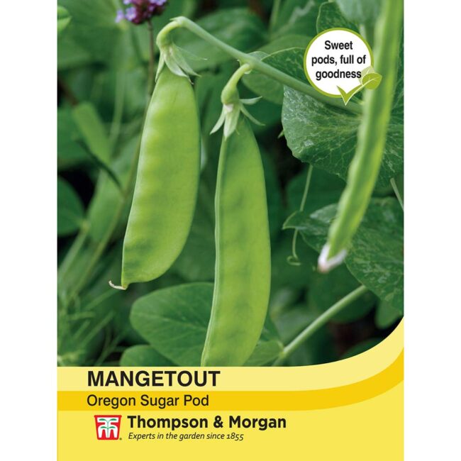 THOMPSON & MORGAN - MANGETOUT OREGON SUGAR POD