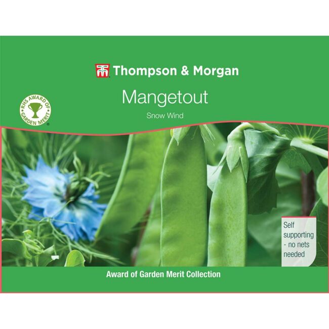THOMPSON & MORGAN - MANGETOUT PEA SNOW WIND