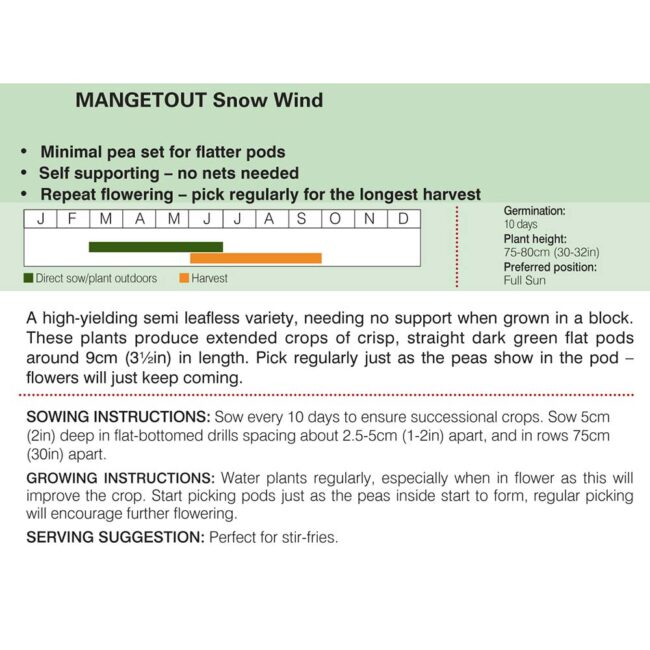 THOMPSON & MORGAN - MANGETOUT PEA SNOW WIND - Image 2