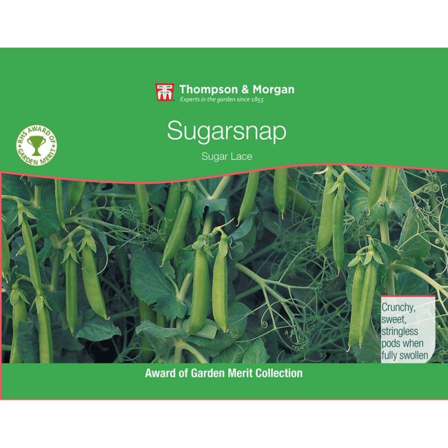 THOMPSON & MORGAN - MANGETOUT PEA SUGAR LACE