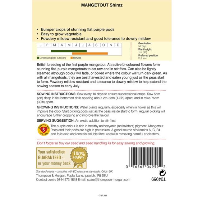 THOMPSON & MORGAN - MANGETOUT SHIRAZ - Image 2