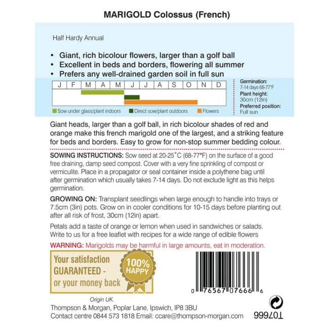 THOMPSON & MORGAN - MARIGOLD COLOSSUS SEEDS - Image 2