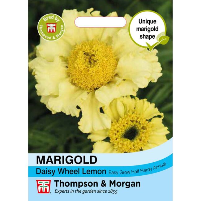 THOMPSON & MORGAN - MARIGOLD DAISY WHEEL LEMON SEEDS