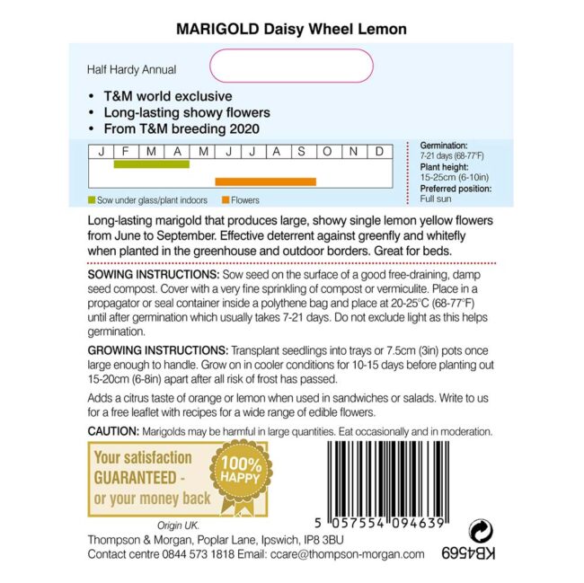 THOMPSON & MORGAN - MARIGOLD DAISY WHEEL LEMON SEEDS - Image 2